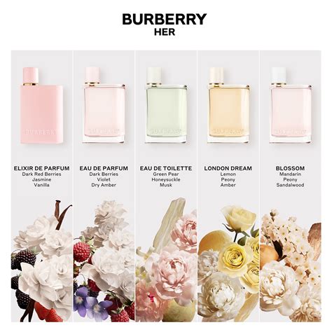 burberry her eau de parfum spray stores|Burberry Her perfume 5 oz.